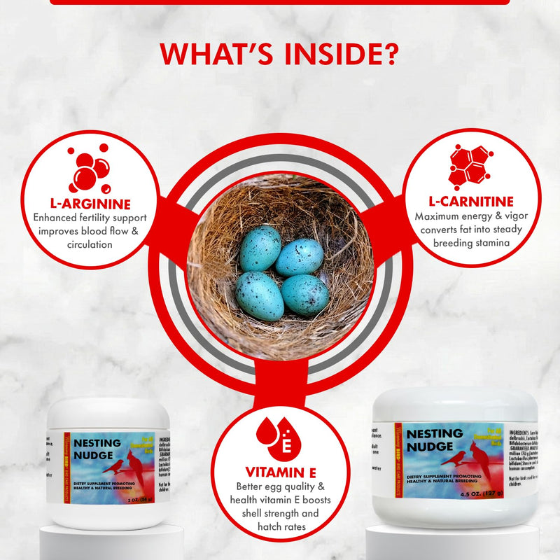 Morning Bird Nesting Nudge 4.5 Oz – Supports Reproductive Health & Energy – Stimulates Male and Female Reproductive Systems - Breeding Supplement with Essential Amino Acids & Vitamin D3
