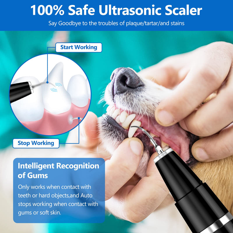 Ni-SHEN Dog Teeth Cleaning Kit, Ultrasonic Pet Teeth Cleaner, Dental Care for Dogs and Cats (Black) - BeesActive Australia