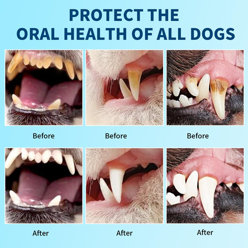 2 PCS PawBright Dental Plus,Natural, Odorless & Flavorless Teeth Cleaning Mouthwash to Fight Tartar,Promote Healthy Gums & Freshen Breath,Easy Daily Use for all Pet