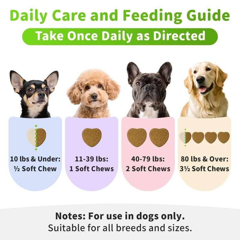 Dog Liver Support Chews - with Milk Thistle (Silybum), Same & NAC - Liver Supplement for Metabolic - Detox - Gut & Immune Health - Chicken Flavor, 90 Soft Chews Chicken 90 CT