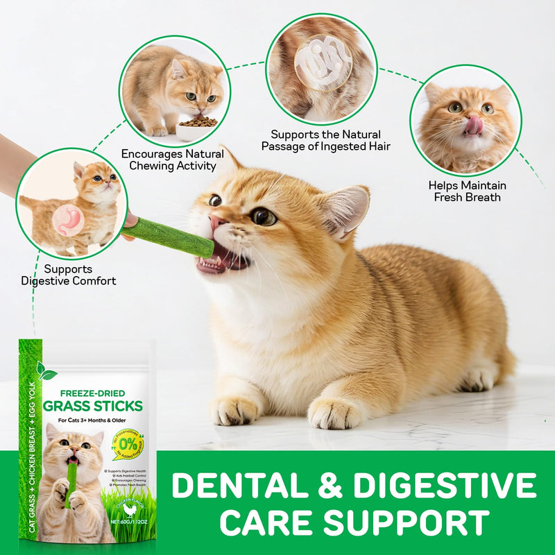 60g Cat Grass Sticks, Delicious Cat Grass Teething Stick Edible Cats Chew Toy Cat Treats Snack for Teeth Cleaning and Hairball Removal