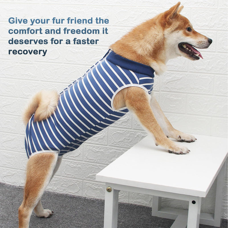TYXHXTF 2 pieces dog bodysuit after surgery, castration, recovery suit for dogs, dog bodysuit after castration, male dog, dog bodysuit after surgery, bitch, wound protection suits for dogs, blue M - BeesActive Australia