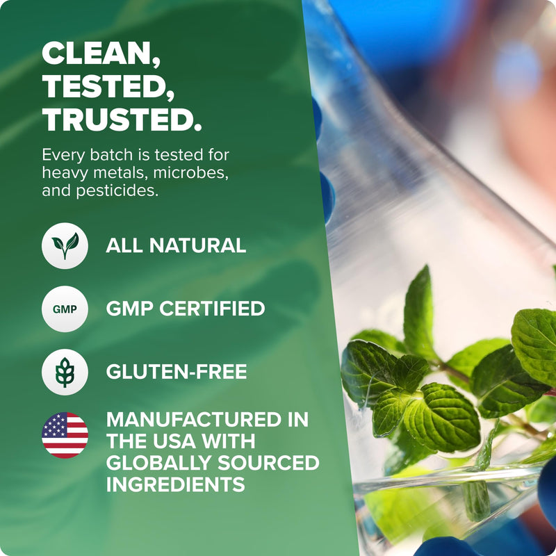 Rosabella Pure Moringa Powder - Energy, Skin, Immune & Gut Health Superfood, Rich in Antioxidants, Essential Vitamins & Amino Acids, Natural Green Superfood Supplement (3.7oz (Pack of 1)) 3.7 Ounce (Pack of 1)