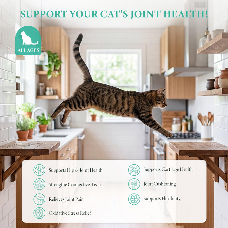 Glucosamine for Cats, Pet vitamins and supplements with Chondroitin, MSM & Green-Lipped Mussel, Support Cartilage Health, Hip & Joint, Mobility & Flexibility for kittens, adult and senior cat