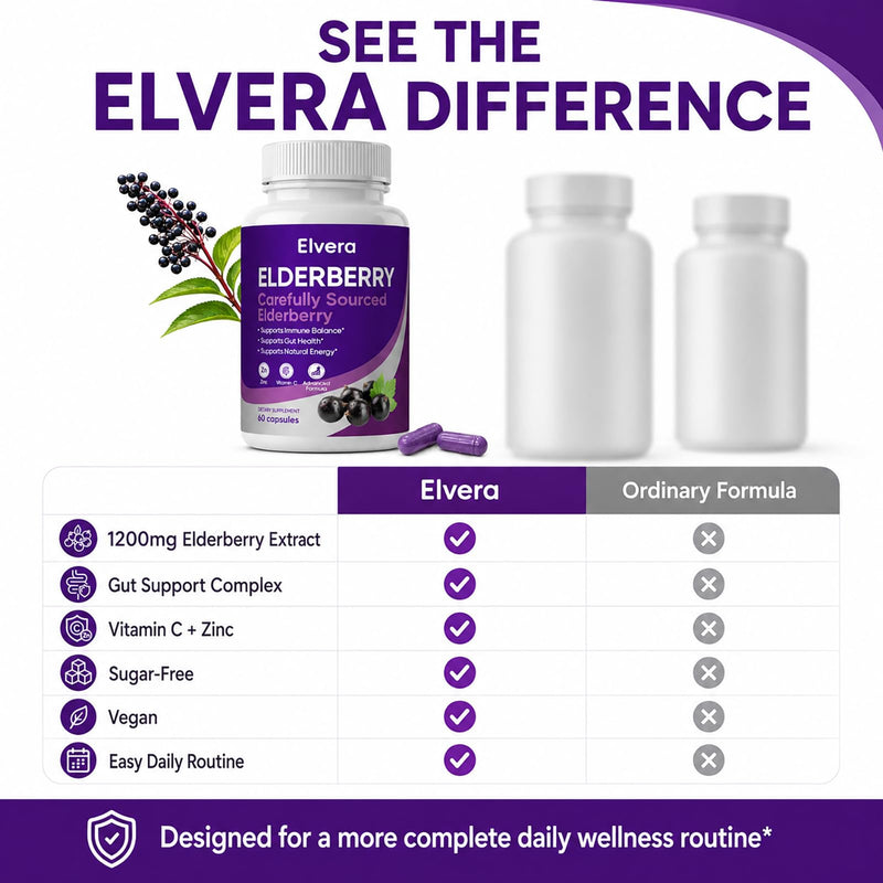 Elvera Elderberry Gut Support, 1200mg Sambucus Elderberry Extract, Advanced Gut Support Complex with Vitamin C & Zinc, Daily Wellness Formula, 60 Capsules