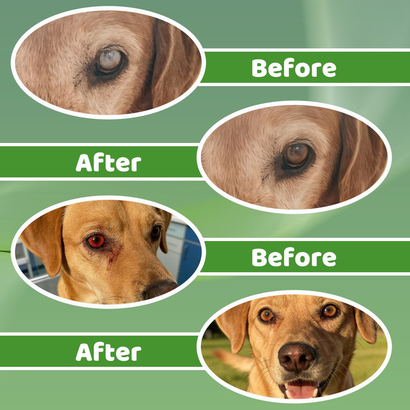 Pet Dog Eye Drops, Cataract Drops for Dogs, Eye Drops for Dogs & Cats for Improving Eye Itching, Dry & Cloudy, Remove Eye Stains, Supports Restore Clarity 60ml (2 Oz)
