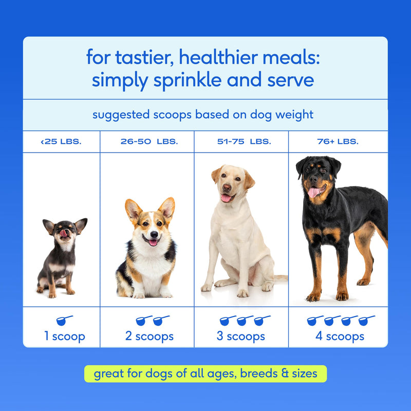 Native Pet Hip & Joint Advanced Care Dog Joint Supplement Powder for Mobility & Movement Support, Joint Supplement for Dogs with HMB, UC-II Collagen, Green Lipped Mussel & Hyaluronic Acid – 30 Scoops 30 Servings