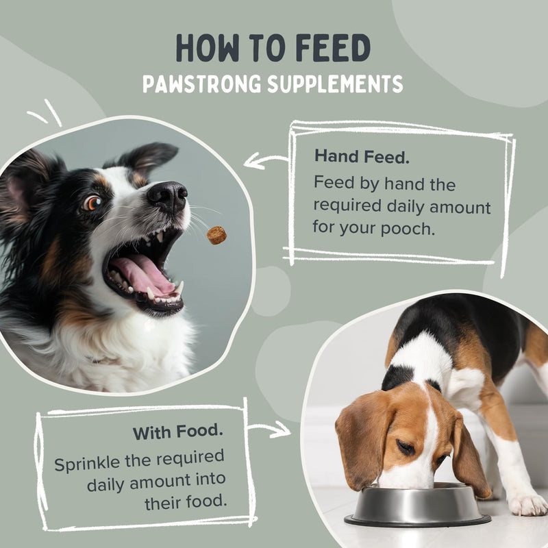 Multi-Vitamins & Minerals Soft Chew Dog Supplements – 21 Essential Nutrients for Daily Health, Energy, Joints, Skin & Coat with Omega 3 EPA & DHA – 60 Soft Chews 60 Chews