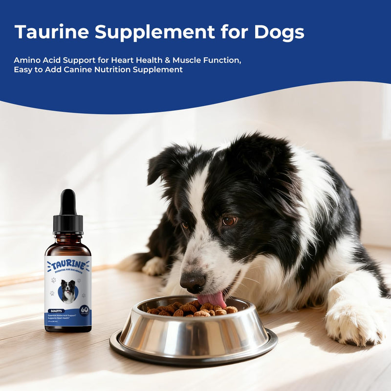 Taurine Supplement for Dogs Liquid Drops Amino Acid Support for Heart Health & Muscle Function, Easy to Add Canine Nutrition Supplement