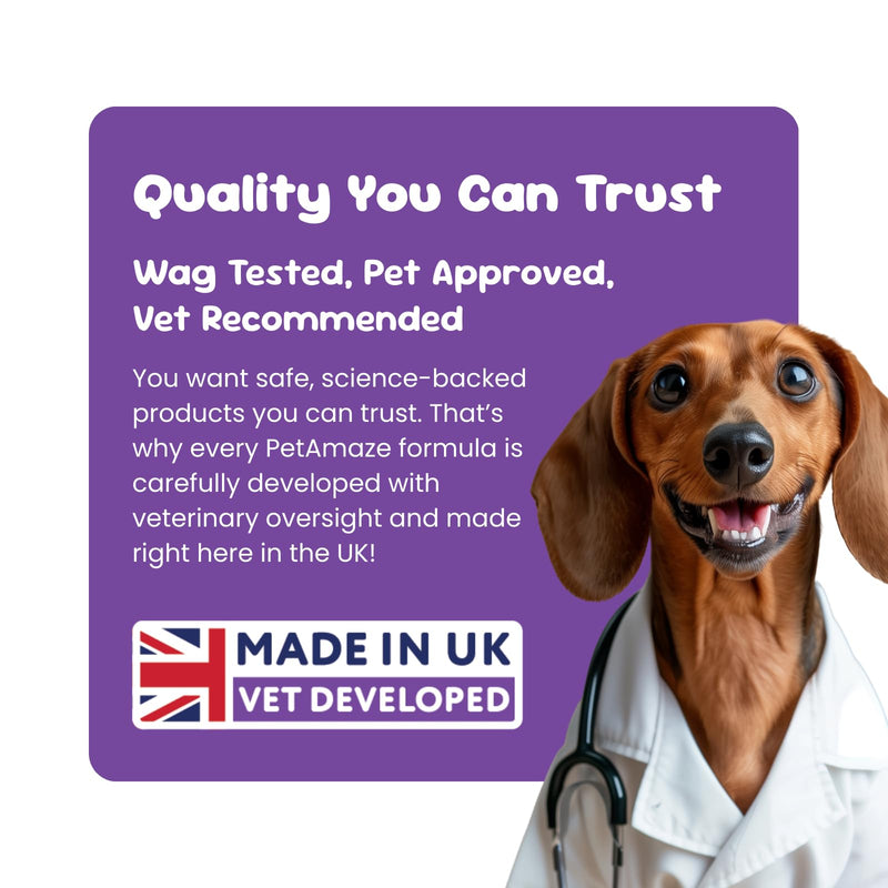 Scottish Salmon Oil for Dogs & Cats, 100% Natural Omega 3, 6, 9 Supplement, Itchy Skin & Coat Support, Joint Care, Heart & Immune Health & Cognitive Function, Made in UK - 500 ml