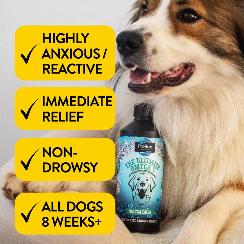 Proflax Natural Omega Calm Oil Supplement for Dogs, 100ml - Provides High Level of Calming Support for Anxious Dogs and Puppies - Great for Dogs who Bark Excessively, Chew or are Destructive Fish
