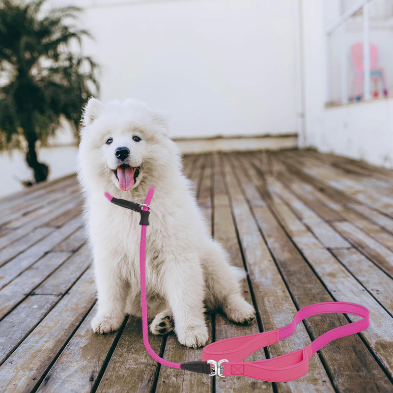 Slip Lead Dog Leash with Double Handle, Reflective Dog Training Leash [360° Swivel Anti-tangle] Heavy Duty Nylon Slip Leash and Collar for Large Medium Small Dogs No Pull Walking 5FT Hot Pink - BeesActive Australia