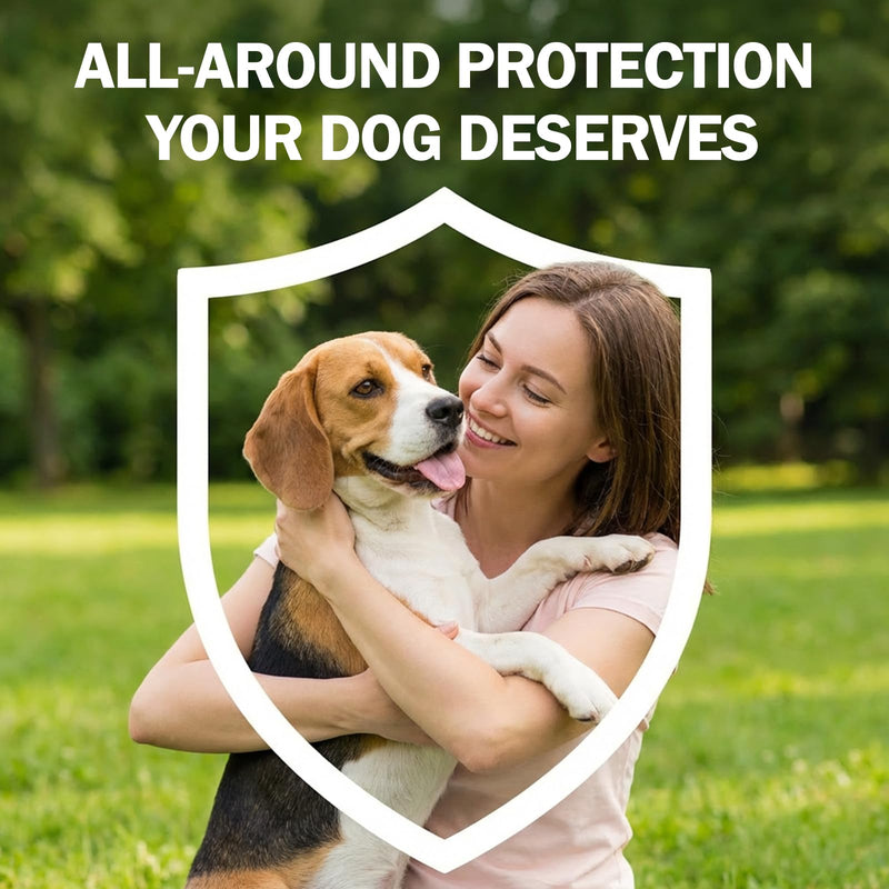 Flea and Tick Prevention for Dogs, Flea & Tick Control, Flea Drops for Small and Medium Dog (5-44 Ibs), Support for Skin & Coat Health, Fast Acting, for Dogs and Puppies 8 Weeks and Older Supplement