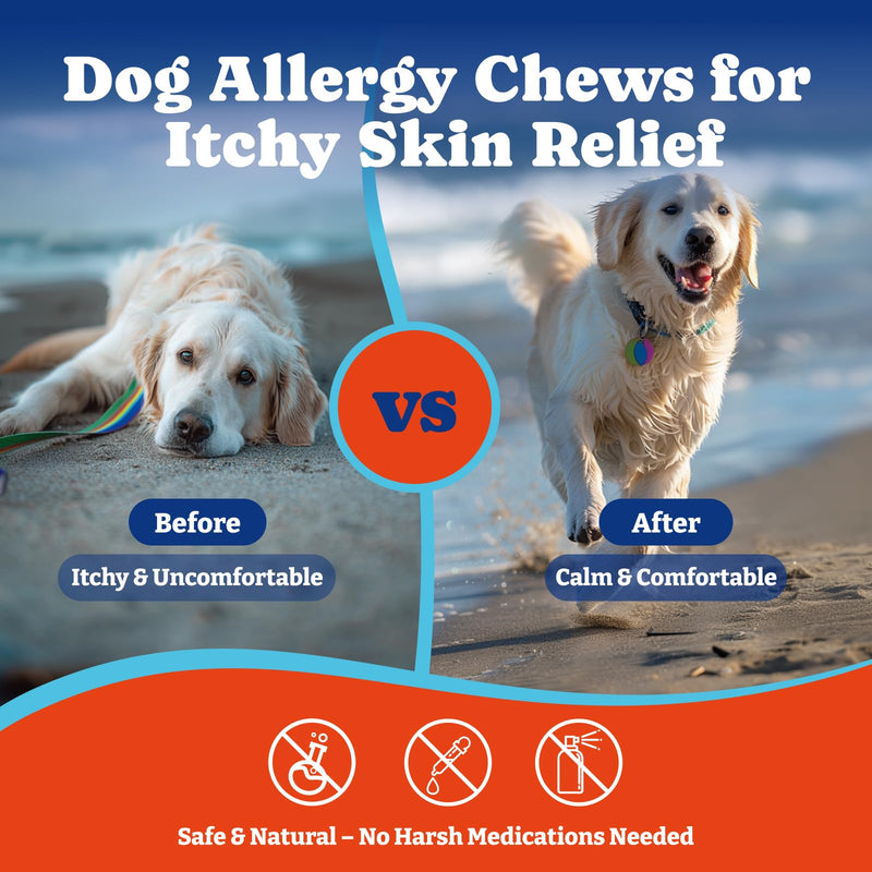 Dog Allergy Relief Chews – 180 Soft Chews, Turkey & Pumpkin Flavor - Immune Support & Itch Relief with Colostrum, Astragalus Root, 6-Strain Gut Health Blend 180 Count (Pack of 1)