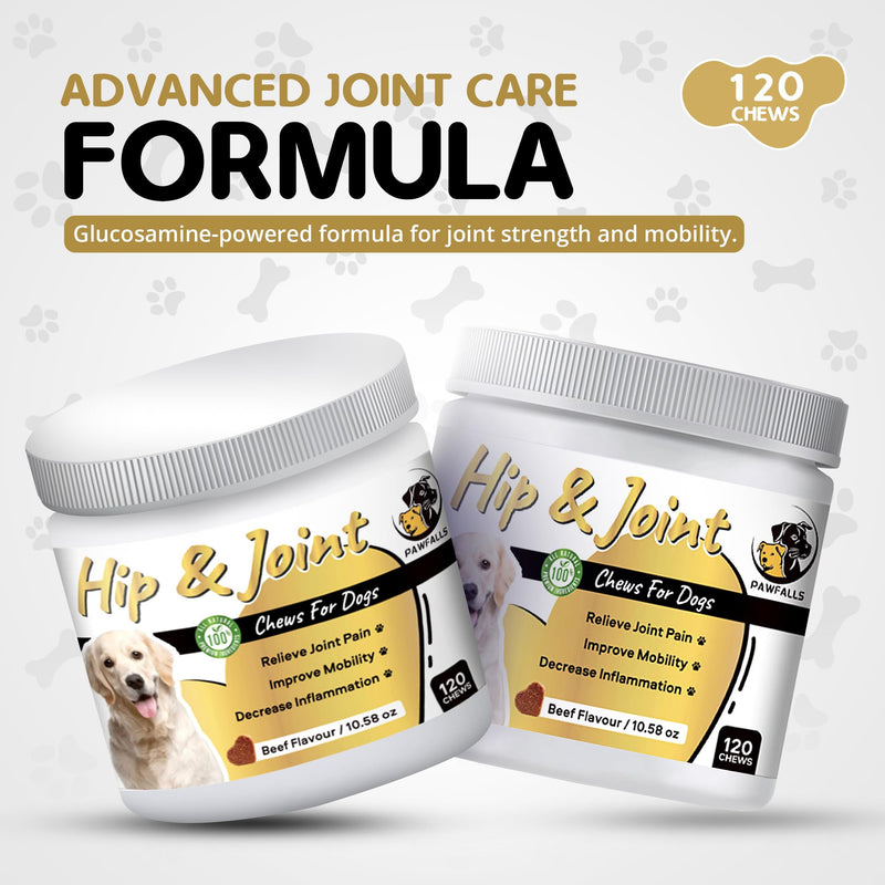 HIP and Joint Chews – Dog Joint Supplement with Glucosamine, Chondroitin & MSM – Supports Cartilage, Hip & Joint Health – Soft Chews for Senior & Adult Dogs – 120 Chews, Natural Beef Flavor