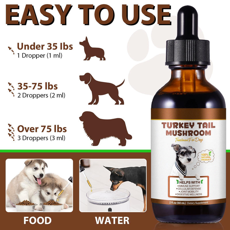 Turkey Tail Mushroom & Turmeric Liquid Drops for Dogs - Natural Bacon Flavour with Probiotics - 60ml