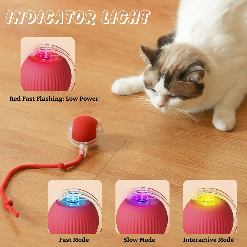 Interactive Cat Toys Ball, Automatic Moving Electric Cat Toy Rolling Ball for Indoor Cat Exercise, USB Rechargeable Red - BeesActive Australia