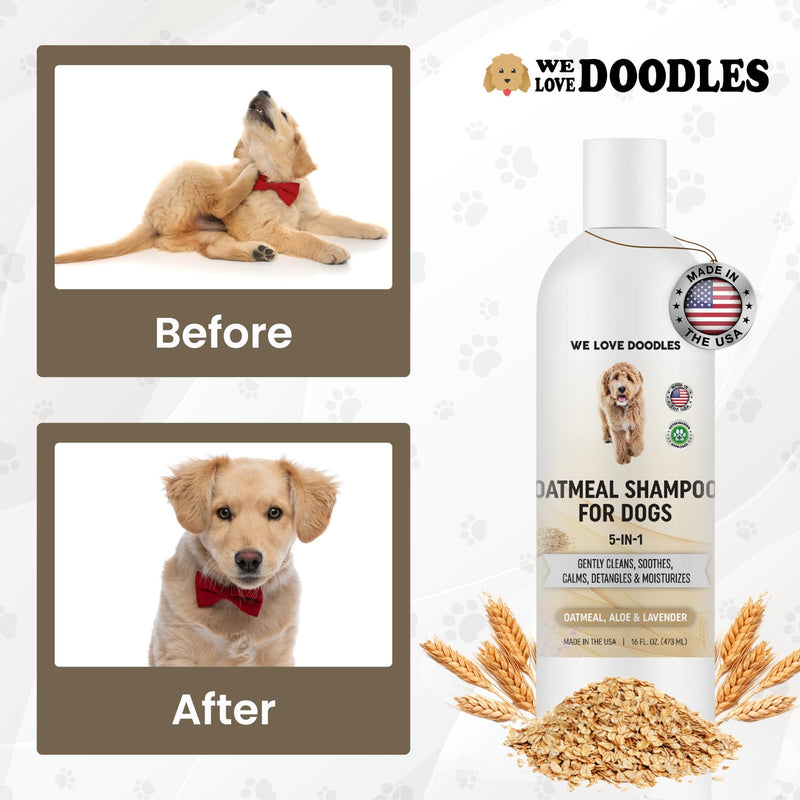 5-in-1 Premium Oatmeal Shampoo for Dogs, Gentle for Itchy & Sensitive Skin, Provides Itch Relief, Hypoallergenic & Soothing for Dry Skin, Moisturizing Anti-Itch, Made in USA, 16 oz [We Love Doodles] Oatmeal Dog Shampoo - BeesActive Australia