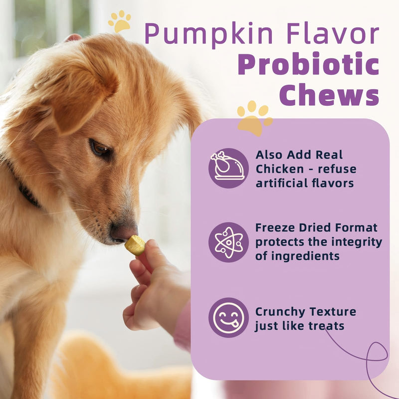 Probiotics for Dogs Soft Chews & Freeze Dried, Pumpkin Flavor