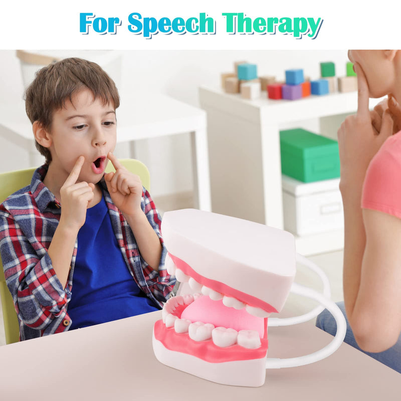 Ultrassist Mouth Model White Hinge for Speech Therapy, Ideal Brushing Teaching Dental Teeth Model for Kids and Children, 6 Times Enlarge, Includes Toothbrush - BeesActive Australia