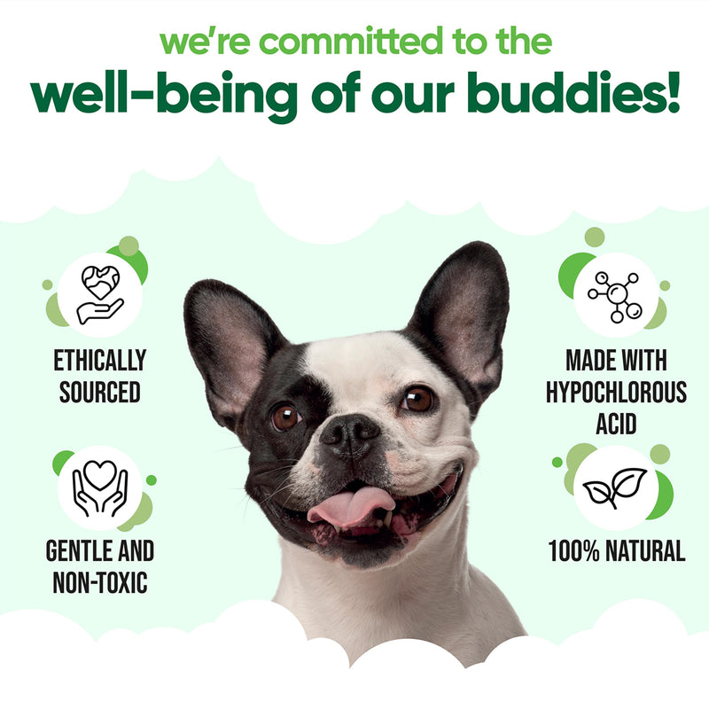 Buddycare Antiseptic Dog Ear Cleaner 200ml Soothing Ear Drops for Pets Antiseptic Ear Drops | Vet Approved Antibacterial Ear Drops for Dogs Cats and all Pets Antiseptic Ear Cleaner