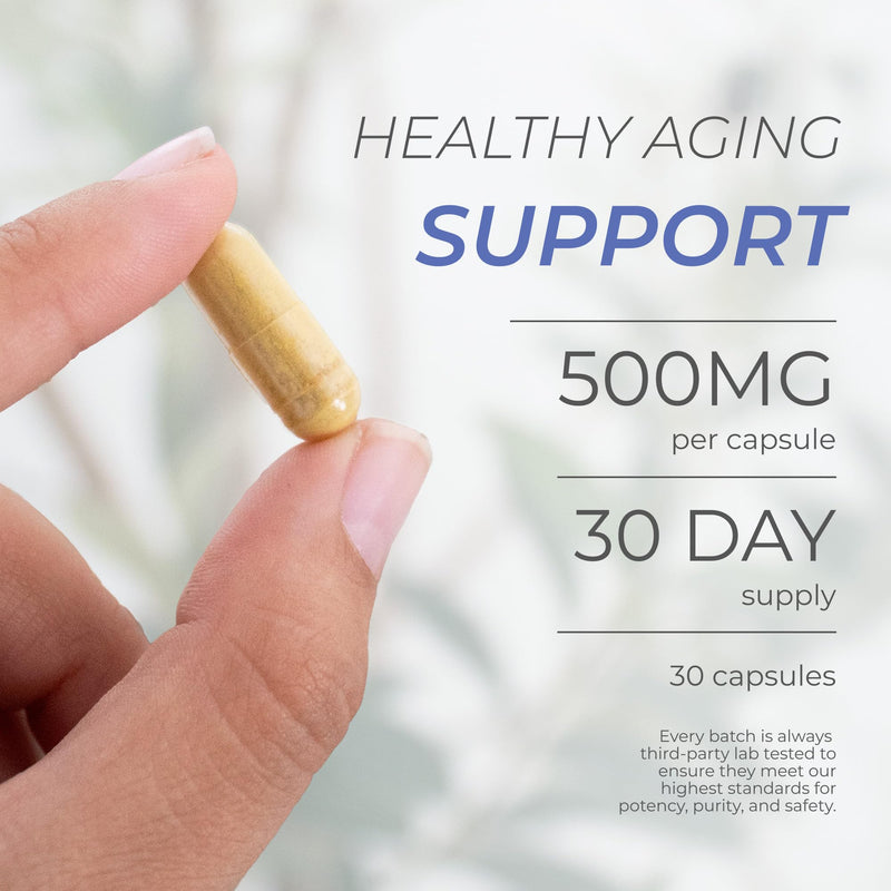 Neurogan Fisetin 500mg – Senolytic & Healthy Aging Cellular Support, 30 Ct