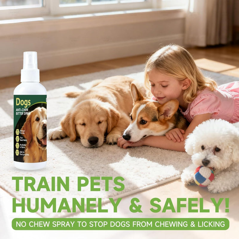 Bitter Dog No Chew Spray, Dog Deterrent Spray for Furniture & Carpet, Puppy Corrector & Training Spray for Dogs & Puppies, Safe & Natural, Prevent Peeing, Biting, Chewing & Licking Injuries, 200ml 200ml Bottle - Single