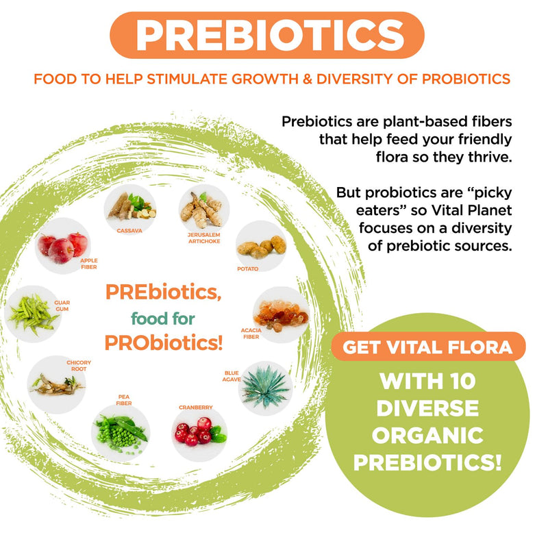 Vital Planet - Vital Flora Advanced Probiotic 100 Billion CFU, 100 Diverse Strains, 10 Organic Prebiotics, Immune Support, Digestive Health Shelf Stable Probiotics for Women and Men 30 Capsules
