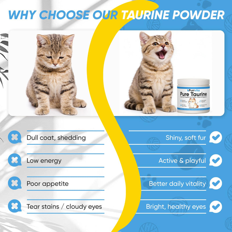 Taurine for Cats, 4.23 oz / 120g, Cat Taurine Supplement, Essential Amino Acid Support for Heart, Vision, Digestion & Daily Wellness, Easy-Mix Powder with Scoop
