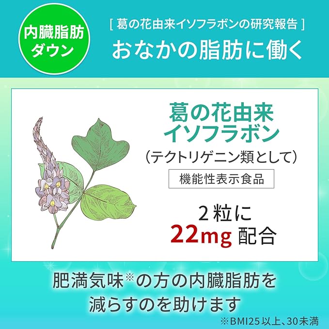 Kirin iMUSE Immune Care, 2 Bags of Visceral Fat Down (30 Days Estimate) Food with Functional Display (Supplement, Supplement, Plasma Lactic Acid Bacteria, Isoflavone Derived from Kuzu Flower), Include - BeesActive Australia