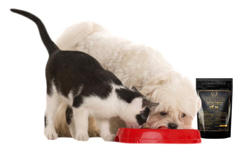 Vision Support & Eye Sight Supplement for Dogs and Cats- Fortified with Zeaxanthin, Bilberry, Lutein, and Beta Carotene - 200 Grams - PawsPlanet Australia