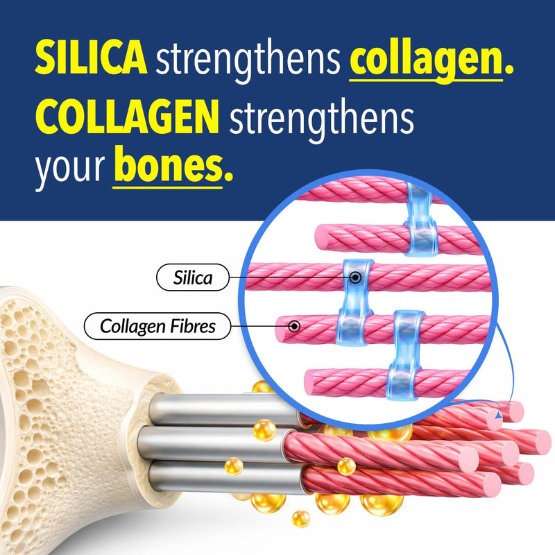 LABO Nutrition Bioactive Silica - Bone, Joints & Collagen Support, 30s | Vegan rice-derived silica-rx99, with vitamin D3 & K2, supports bone density & joint flexibility, 30 days' supply 1