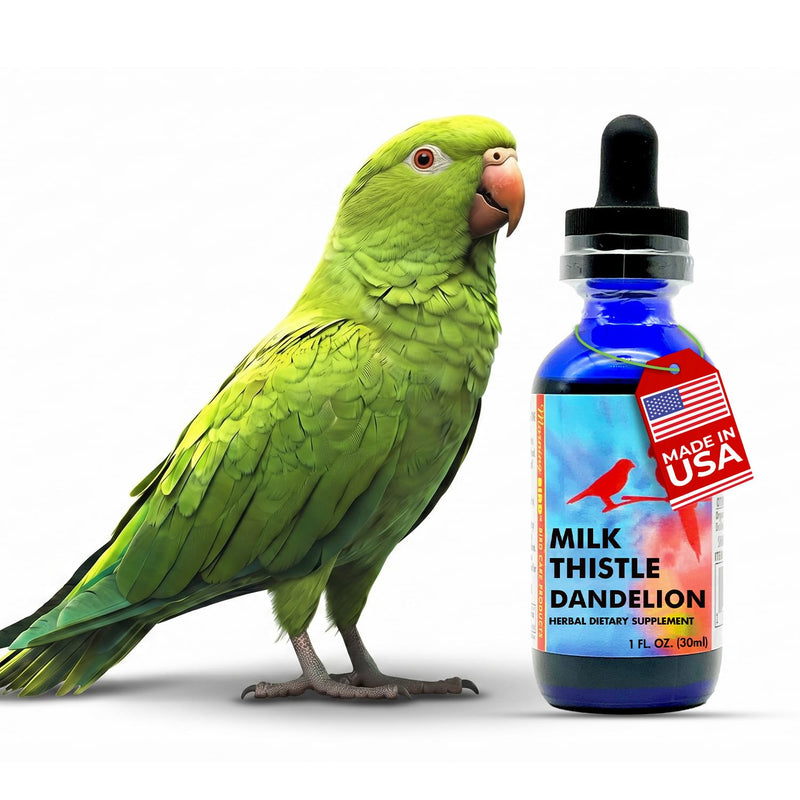 Morning Bird Milk Thistle & Dandelion Extract 1 fl oz – Organic Herbal Supplement for Birds – Supports Liver Health & Natural Detox – Suitable for All Bird Species