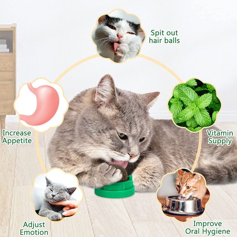 3 Pack Catnip Balls, Catnip Ball for Cats Wall, Edible Kitty Toys for Cats Lick, Safe Healthy Kitten Chew Toys, Teeth Cleaning Dental Cat Toys, Cat Wall Treats (Green) Green - BeesActive Australia
