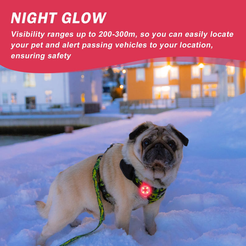 Pack of 4 safety pet lights, Sporgo LED flashing light for dogs, cats, USB rechargeable safety light, LED light pendant dog, waterproof pet lights with 3 flashing modes - BeesActive Australia