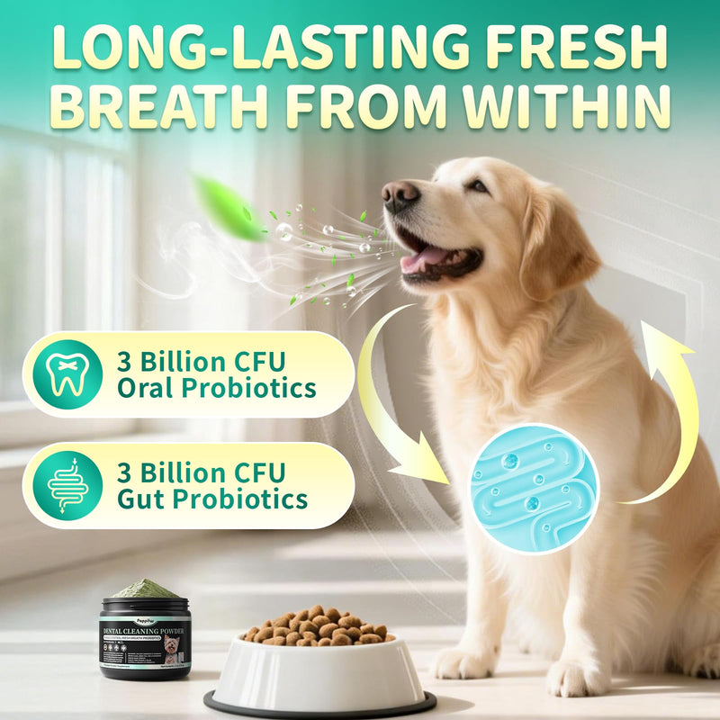 Dog Dental Powder – Teeth Cleaning Powder with 6B CFU Probiotics, Enzymes & Antioxidants, Plaque & Tartar Off, Fresh Breath Support, 75 Days, Mint Chicken Flavor, No Brushing Oral Care 5.29 Ounce (Pack of 1)