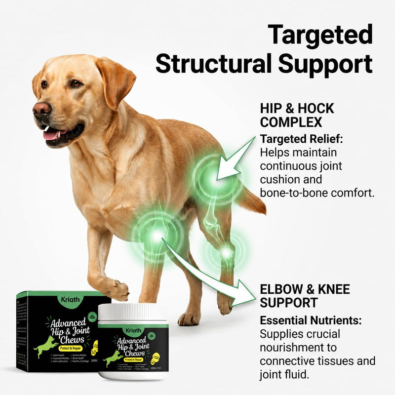 Advanced Hip & Joint Chews for Dogs, Dog Joint Supplement with Glucosamine Chondroitin MSM & Collagen, Mobility Support, Healthy Cartilage and Joint Function, Chicken Flavor Soft Chews, 200g