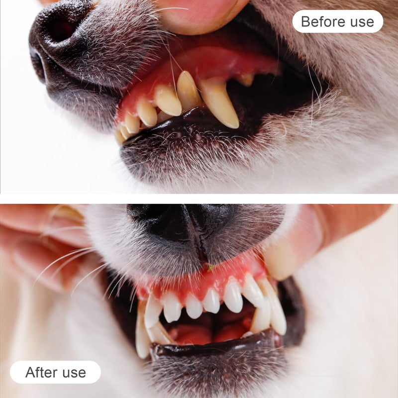 12pcs Soft Silicone Pet Toothbrushes, Dog Toothbrush, Cat Toothbrush, Pet Cleaner - BeesActive Australia