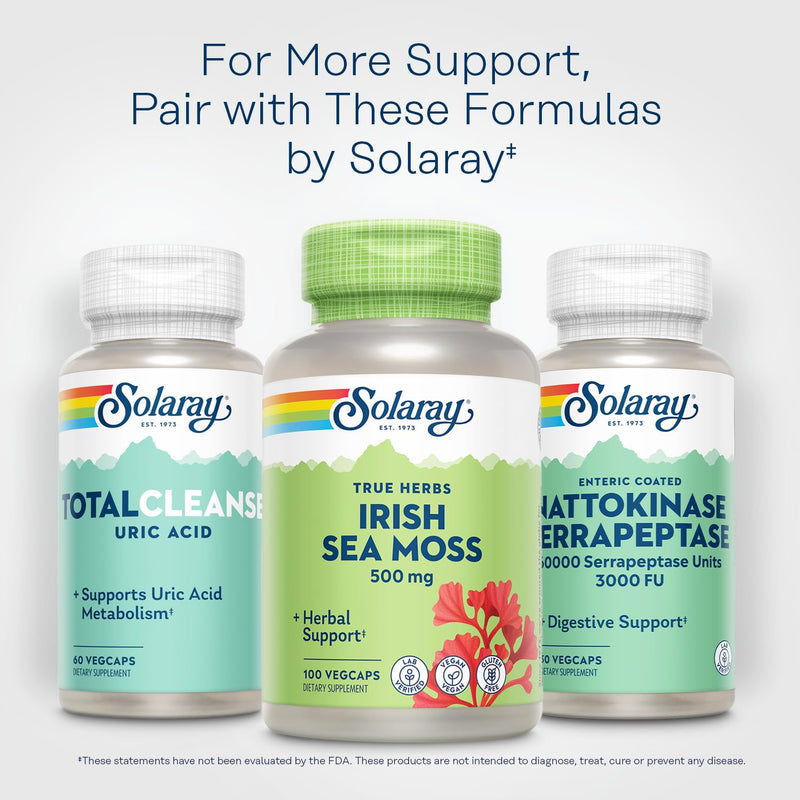 SOLARAY Irish Sea Moss 500 mg Naturally Occurring Vitamins, Minerals, and Fiber Herbal Support for Gut Health and More - Vegan, Gluten Free, Lab Verified - 60 Day Guarantee - 100 Servings, 100 VegCaps