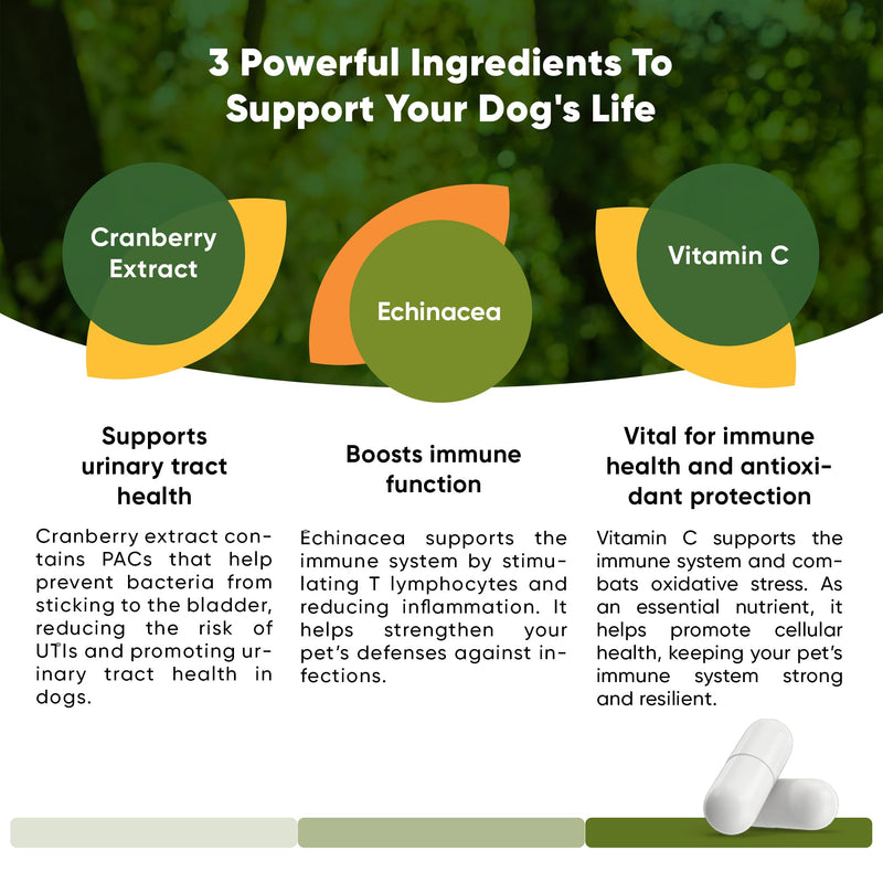 Urinary Support - Echinacea and Cranberry Supplement for Dogs - Dog UTI Prevention - 60/ct - BeesActive Australia