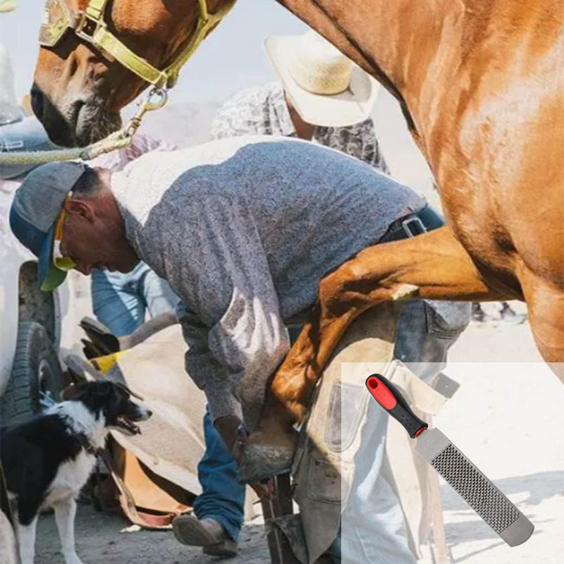 12 Inch Hoof Rasp, Horseshoe File with Rubber Handle, Carbon Steel Farrier File Tool, Suitable for Horse/Goat/Cow/Donkey/Animal Hooves, Strong - BeesActive Australia