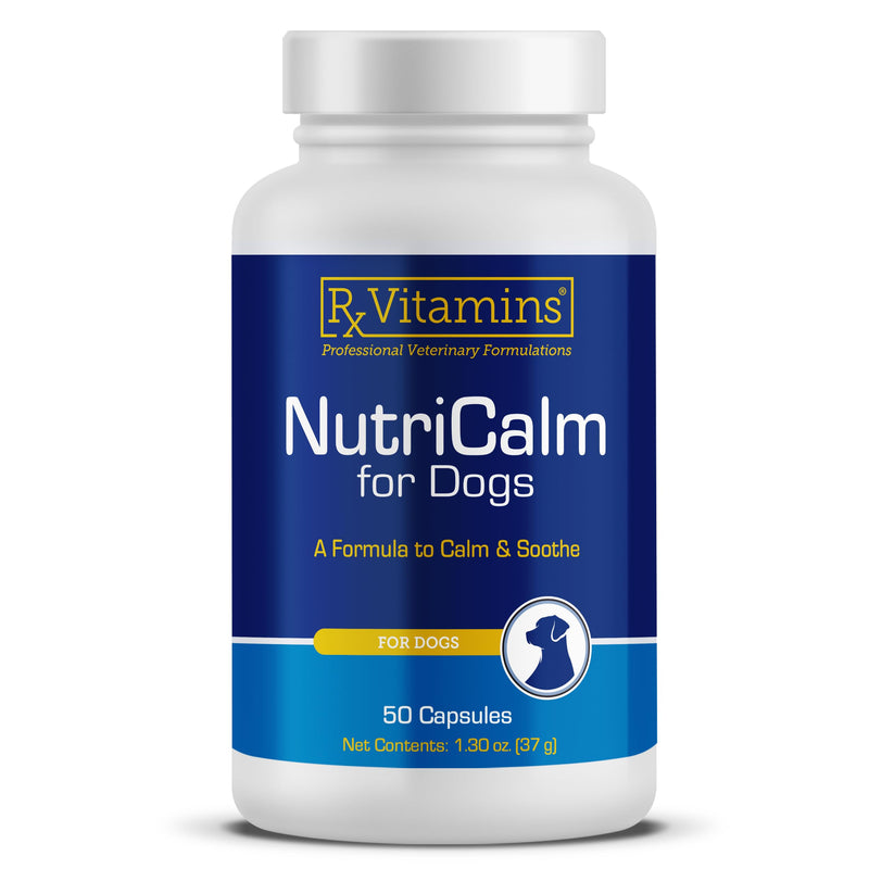 Rx Vitamins NutriCalm - Calming Care for Dogs with Valerian Root, Tryptophan, & Ashwagandha - Aids in Separation Anxiety Relief for Dogs and Stress Relief - Road Trip Essentials & Relaxant - 50ct New Label