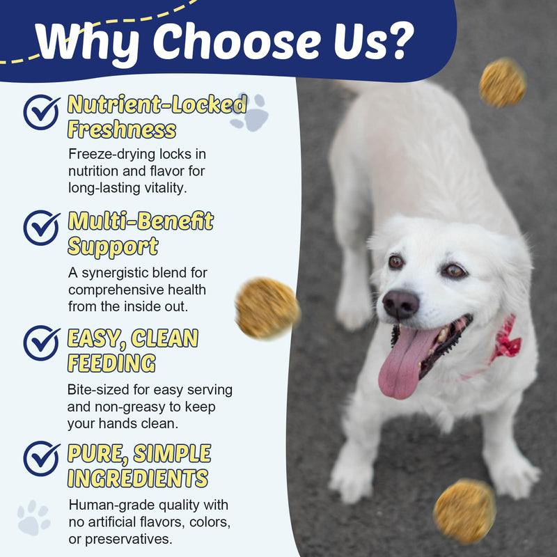 ZEBORA Salmon Oil for Dogs, Probiotics for Dogs