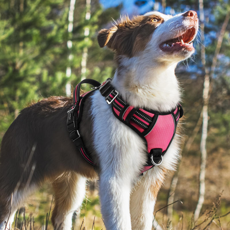 rabbitgoo Dog Harness Medium Sized, No Pull Dog Vest Harness with 3 Buckles, Adjustable Soft Padded Pet Harness with Easy Control Handle and Reflective Strips, Pink, M - BeesActive Australia