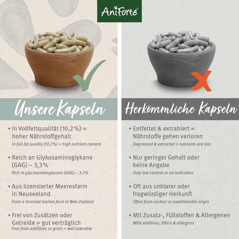 AniForte green-lipped mussel capsules for dogs, pack of 300 - green-lipped mussel dog, joint tablets with green-lipped mussel powder in full-fat quality 10.2%, for joints and agility - BeesActive Australia