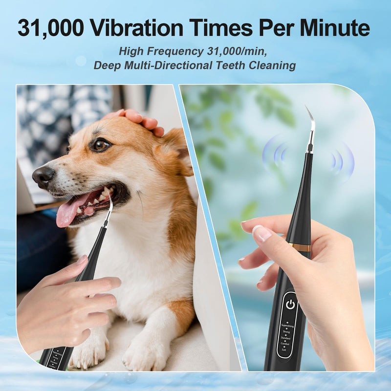 WanderGo Dog Plaque Remover For Teeth, Ultrasonic Plaque Remover for Teeth Dogs, 5 Cleaning Modes Dog Tooth Cleaner, USB Rechargeable Pet Teeth Cleaning Products