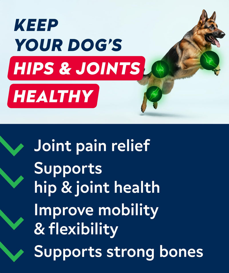 Glucosamine Treats for Dogs - Hip & Joint Supplement w/Omega-3 Fish Oil - Chondroitin, MSM - Advanced Mobility Chews - Joint Pain Relief - Hip & Joint Care - Bacon Flavor - 180 Ct - Made in USA 180Ct (Bacon)