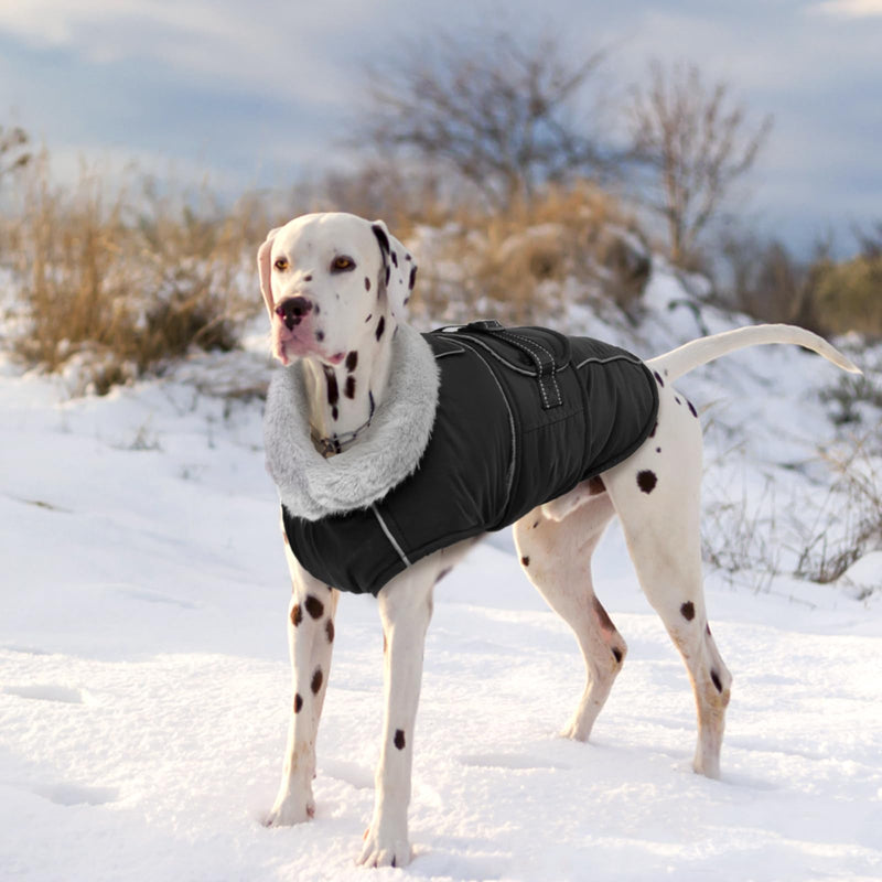 Lelepet Warm Dog Coat Reflective Dog Fleece Vest Waterproof Dog Jacket Windproof Dog Winter Coat Dog Cold Weather Coats with Adjustable Buckle XLarge Dog Coat Dog Snowsuit Dog Coat for Large Dogs， XL Black - BeesActive Australia