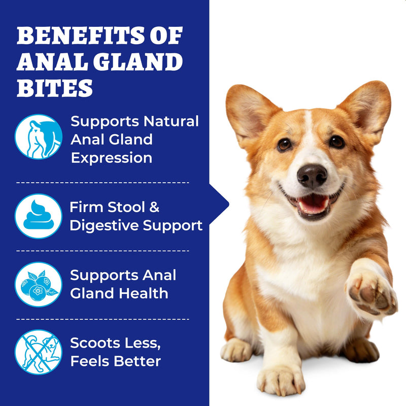 Wellix 260g Anal Gland Chews for Dogs - Rich in Pumpkin Fibre for Dogs & Probiotics - Dog Fibre Supplement for Anal Gland Health,Stool Quality & Digestive Health - Chicken Flavor