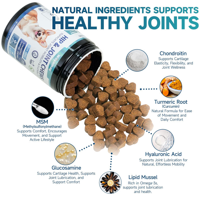 2-in-1 Dog Health Bundle: Allergy & Skin + Hip & Joint Chews (200 Each) - Glucosamine, Omega 3, Turmeric for Itch Relief & Joint Mobility, Chicken Flavor